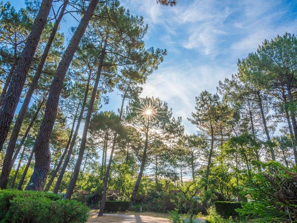 Camping Ares Dış mekan fotoğraf