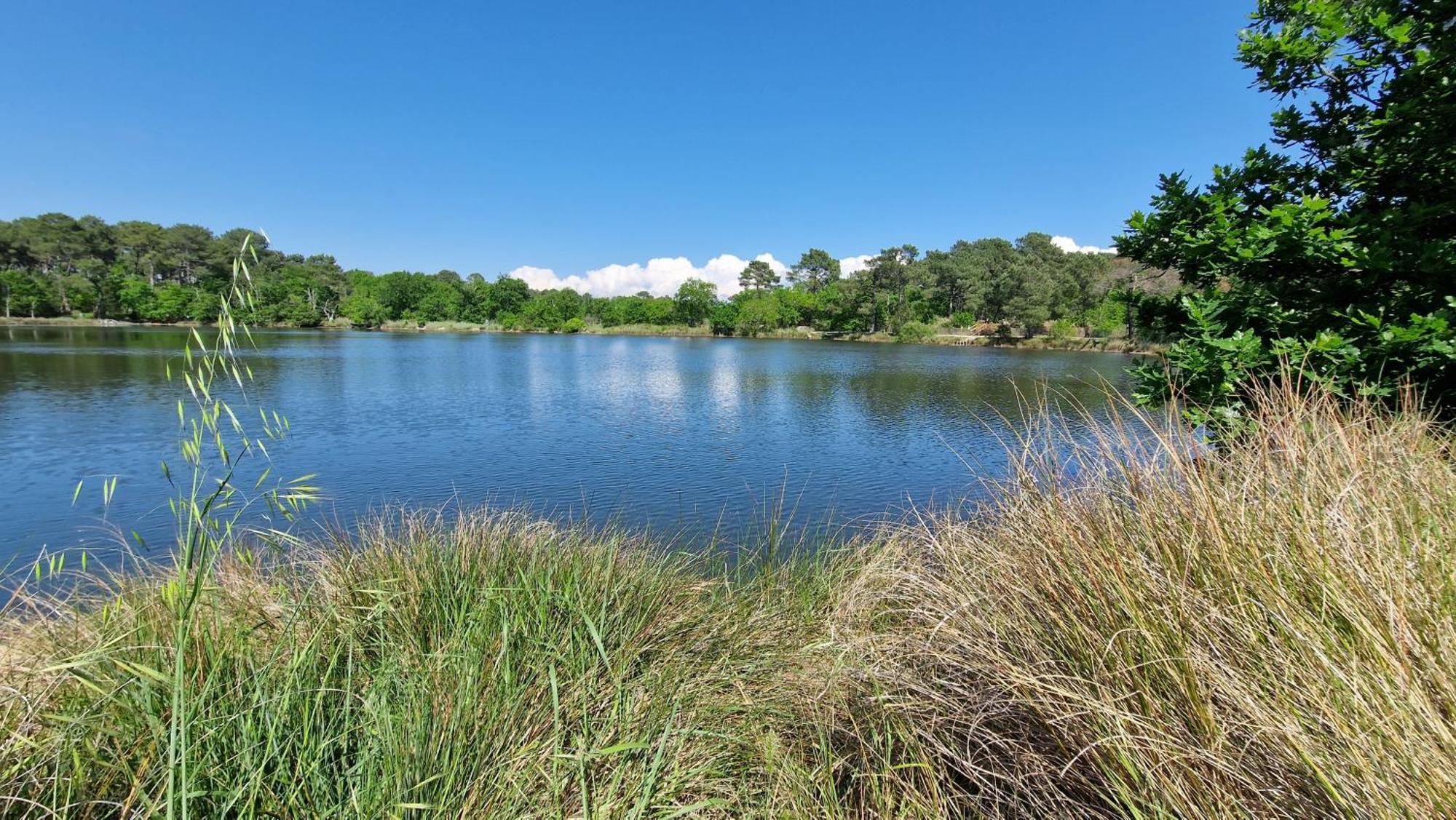 Camping Ares Dış mekan fotoğraf