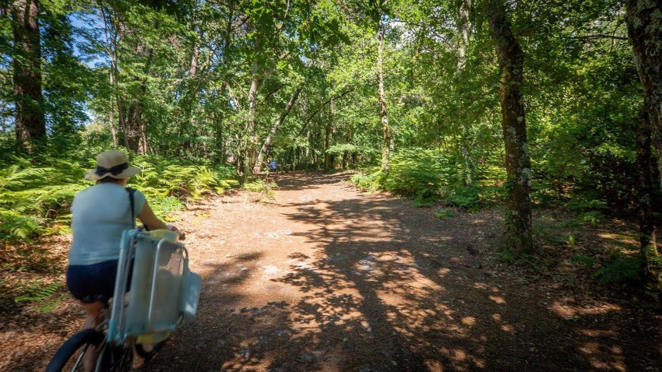Camping Ares Dış mekan fotoğraf