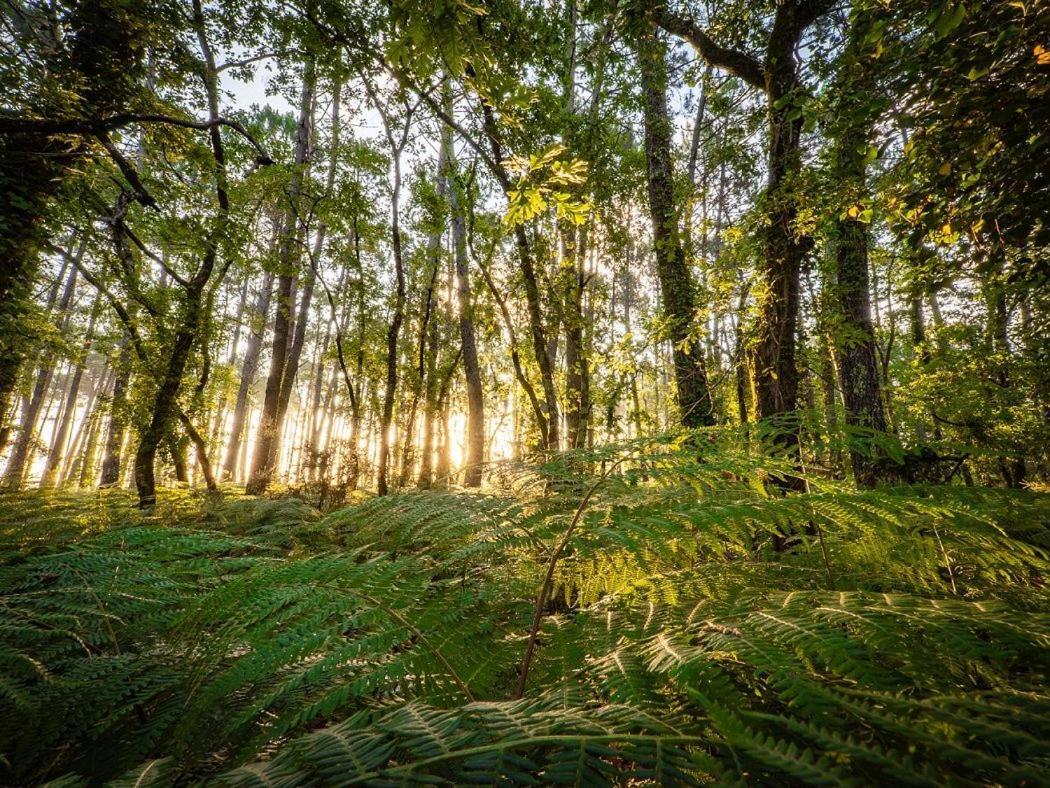 Camping Ares Dış mekan fotoğraf